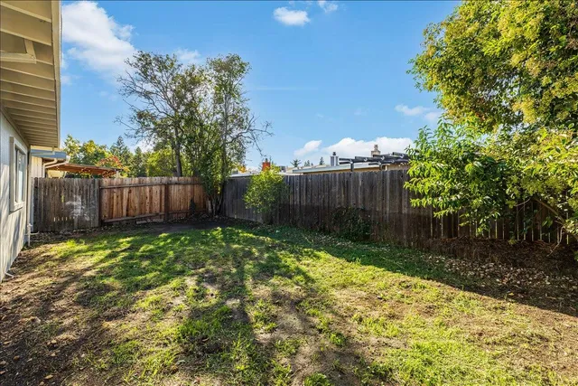a view of a backyard with large trees and wooden fence