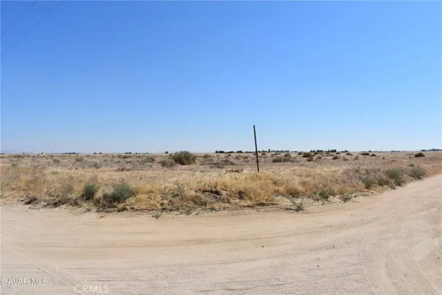 a view of a dry yard