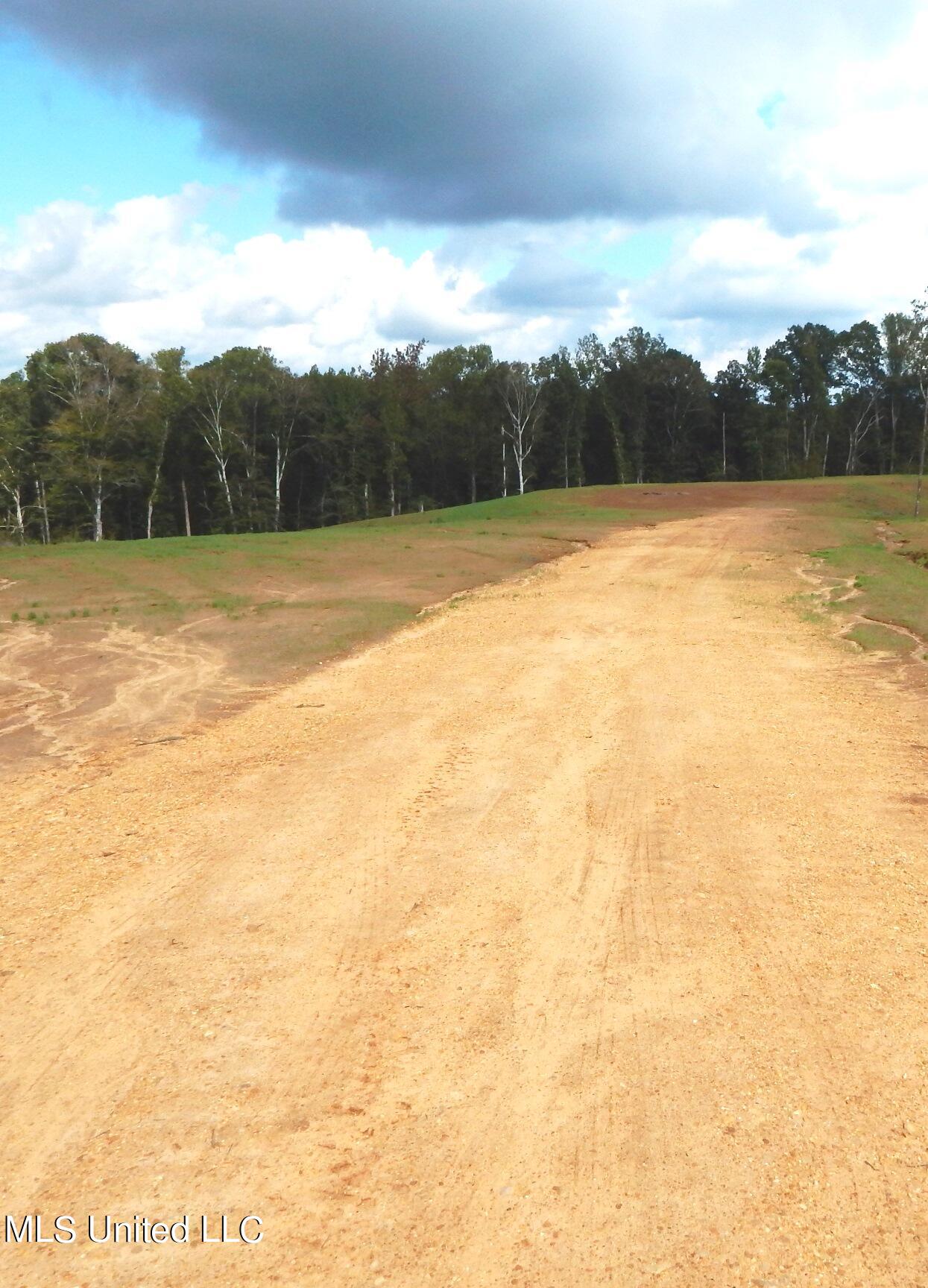 6445 Pea Ridge Road Grenada, MS 38901 - Photo 1 of 6 Land