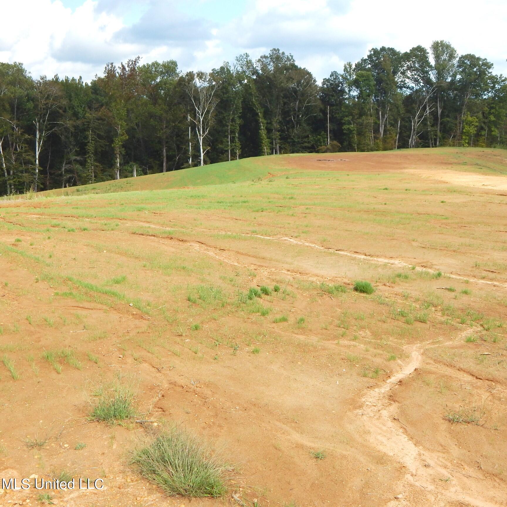 6445 Pea Ridge Road Grenada, MS 38901 - Photo 2 of 6 1aSmart 024
