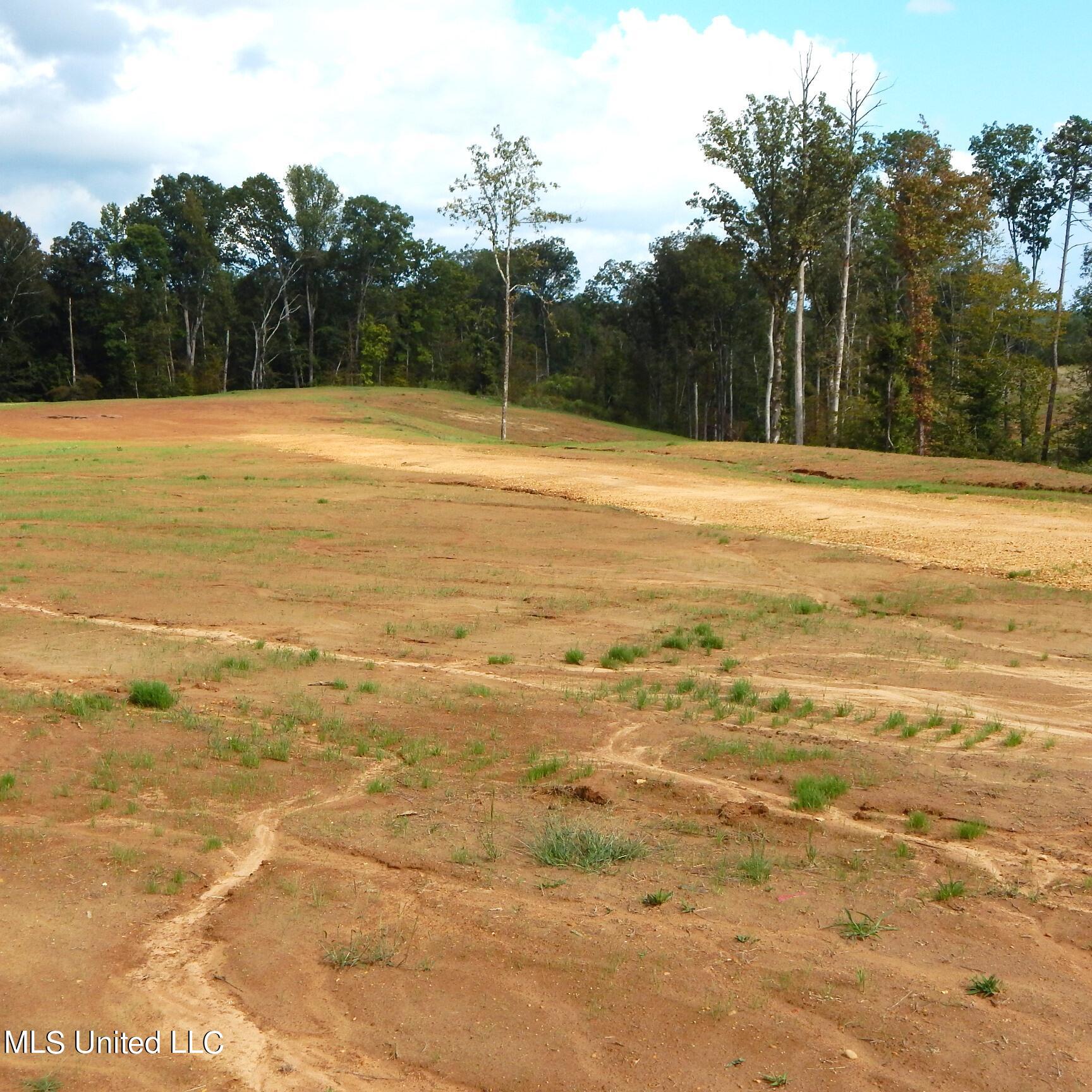 6445 Pea Ridge Road Grenada, MS 38901 - Photo 3 of 6 1aSmart 025