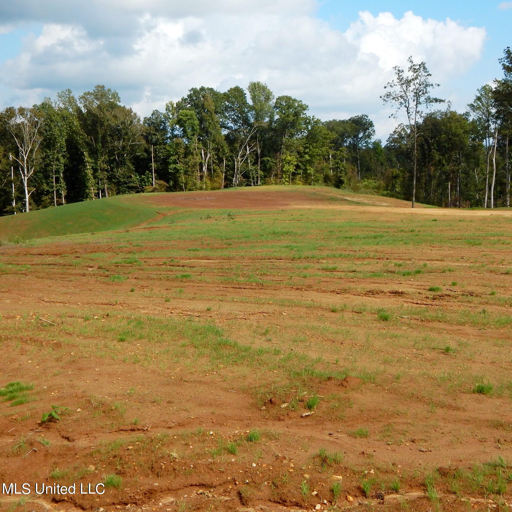6445 Pea Ridge Road Grenada, MS 38901 - Photo 4 of 6 1aSmart 026