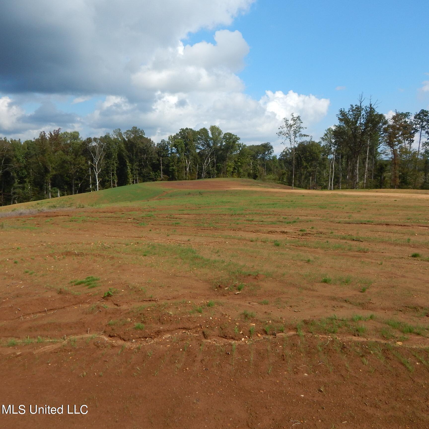 6445 Pea Ridge Road Grenada, MS 38901 - Photo 5 of 6 1aSmart 027