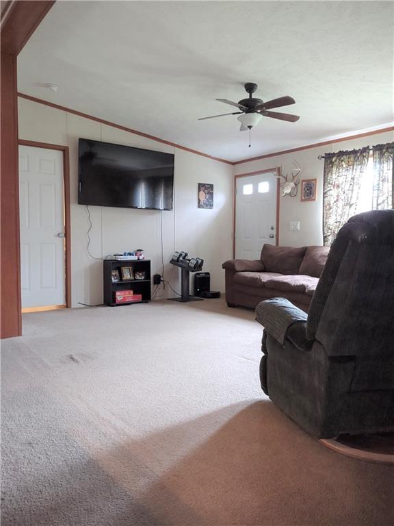 435 Christie Road Hilliards, PA 16040 - Photo 8 of 19 Gallery Image 8