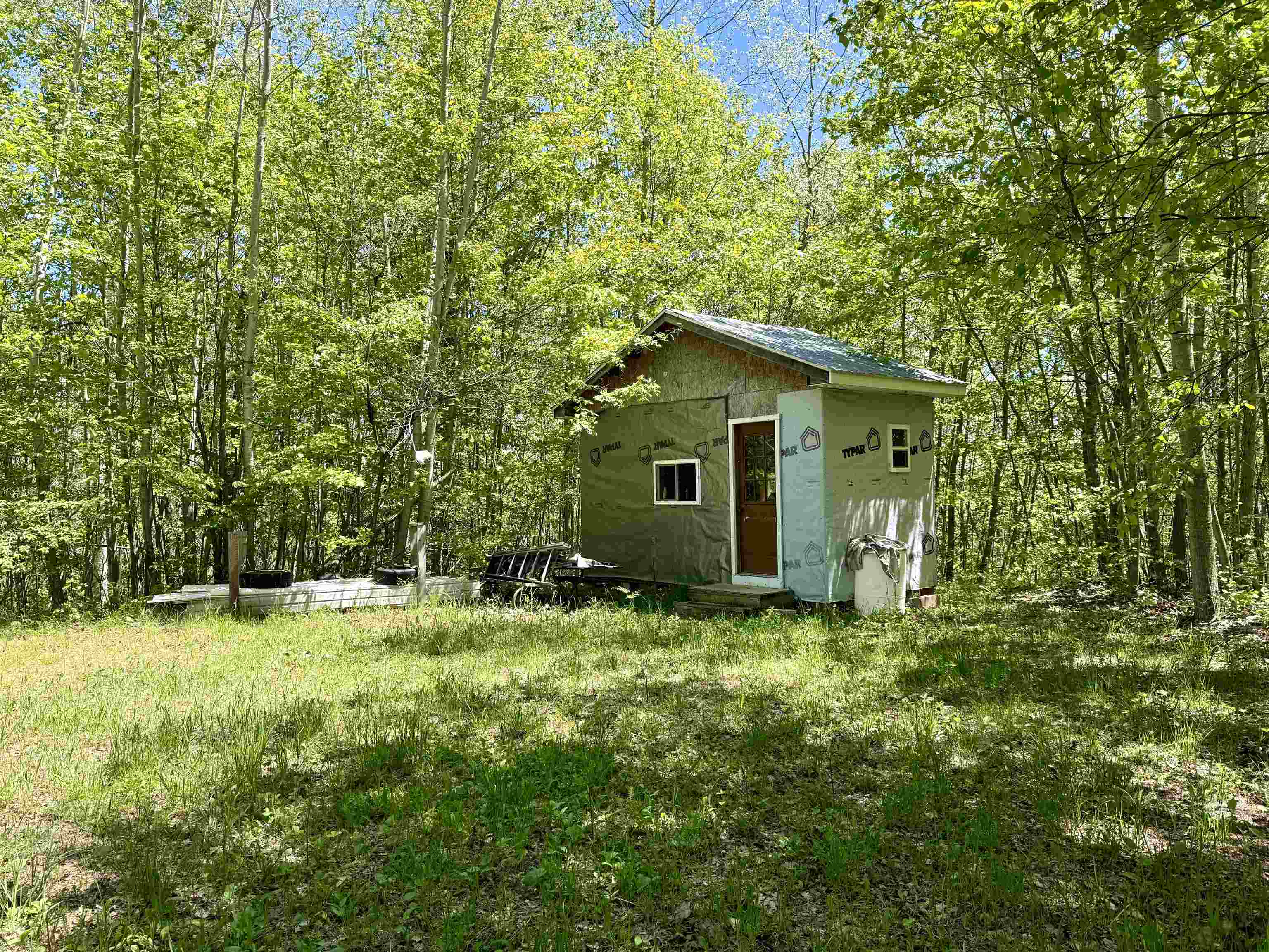 0 Ora Lake Road Hale, MI 48739 - Photo 16 of 22