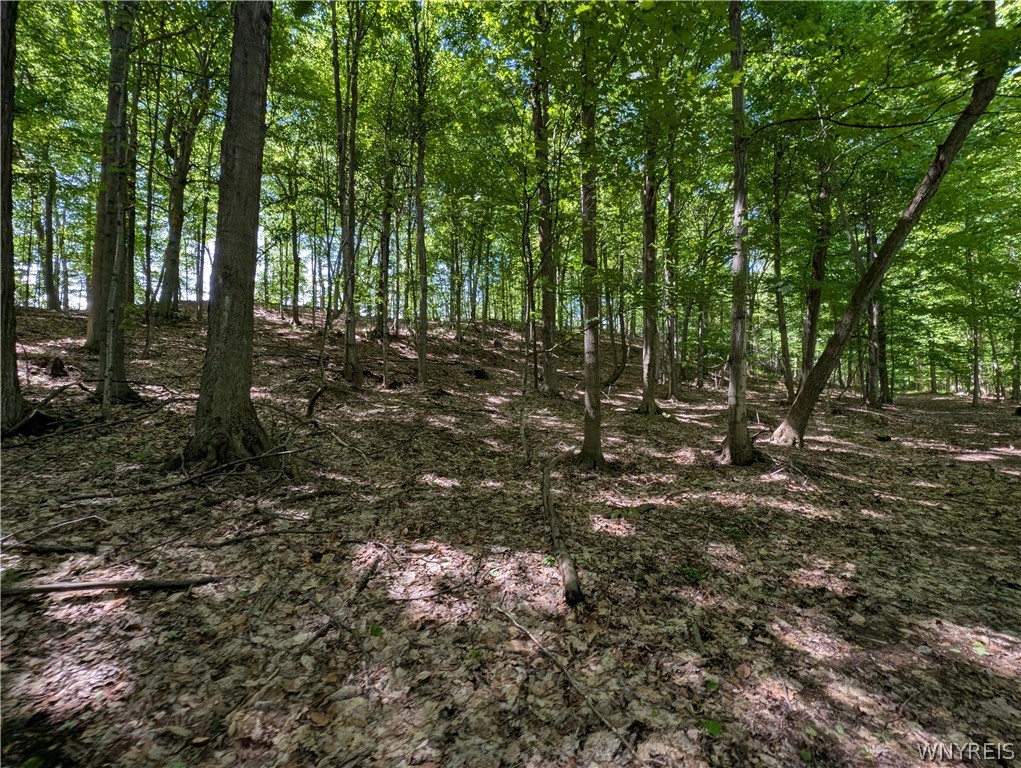 540 Shumway Road Sweden, NY 14420 - Photo 50 of 50