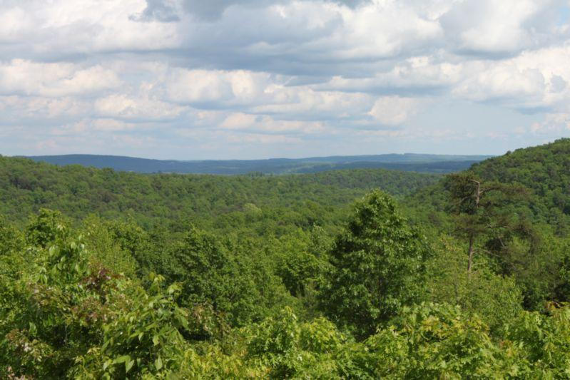 Lot 20 Roach Road Huddleston, VA 24104 - Photo 1 of 5 21