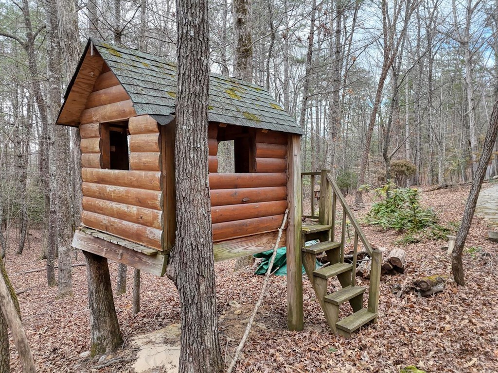 180 Shepherds Ridge Morganton, GA 30560 - Photo 13 of 66