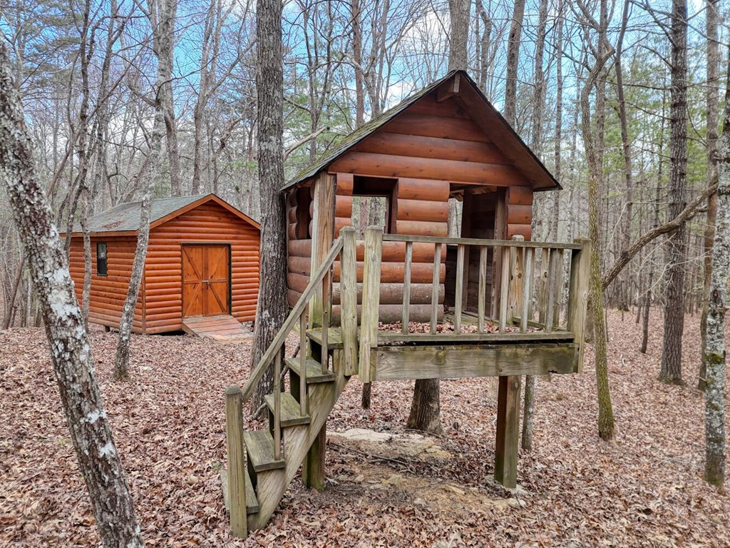 180 Shepherds Ridge Morganton, GA 30560 - Photo 14 of 66 a front view of a house with large trees