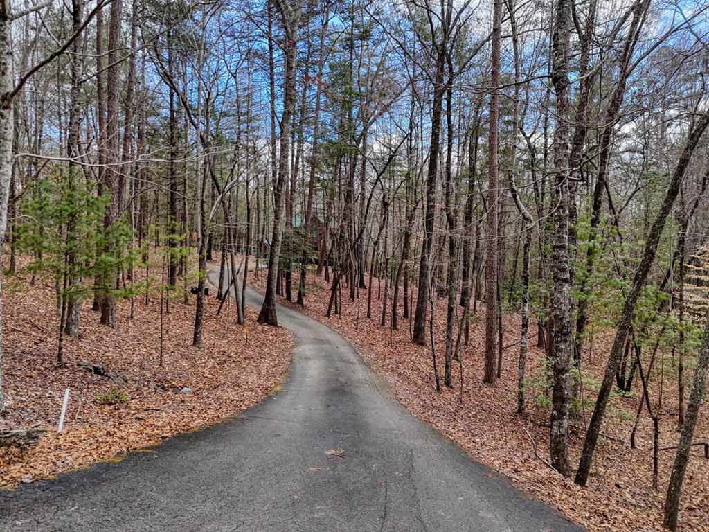 180 Shepherds Ridge Morganton, GA 30560 - Photo 16 of 66 a view of a backyard with large trees