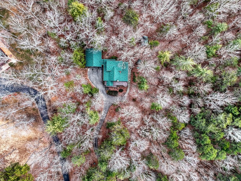 180 Shepherds Ridge Morganton, GA 30560 - Photo 18 of 66 a backyard of a house with lots of green space