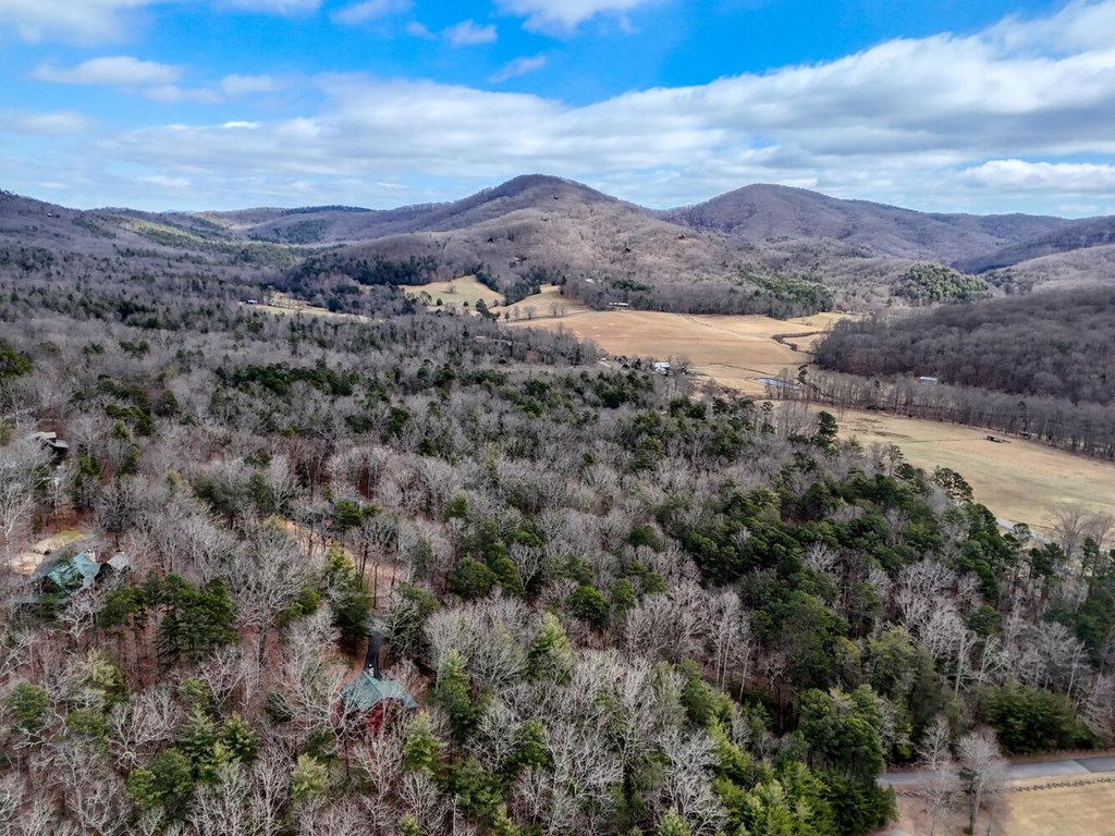 180 Shepherds Ridge Morganton, GA 30560 - Photo 19 of 66 a view of a town with mountains in the background