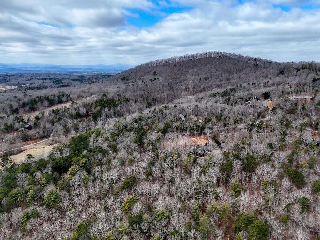 180 Shepherds Ridge Morganton, GA 30560 - Photo 22 of 66 an aerial view of houses covered in trees