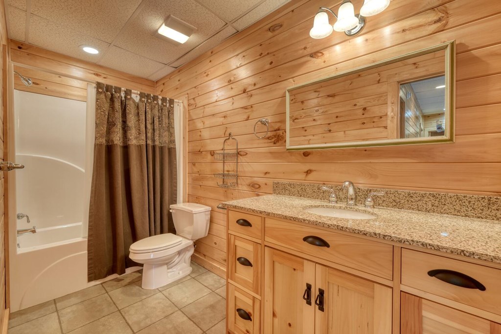 180 Shepherds Ridge Morganton, GA 30560 - Photo 59 of 66 a bathroom with a sink a toilet and shower