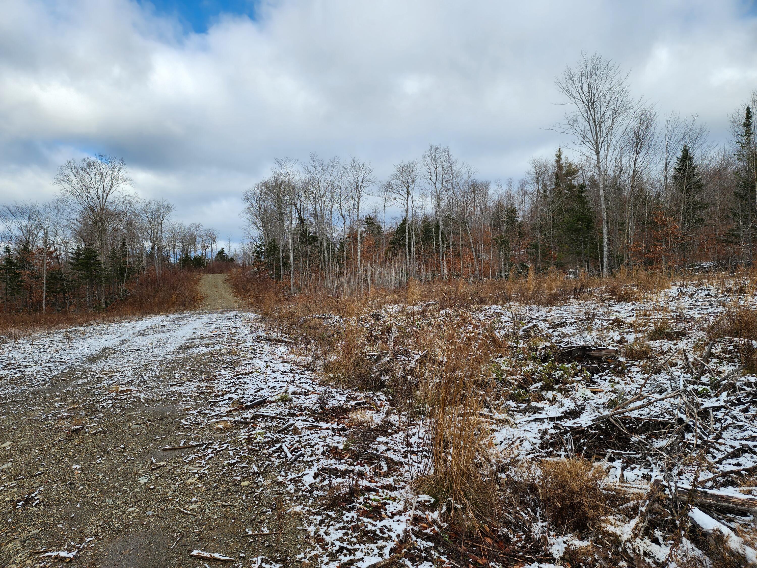 4 Greenleaf Brook Amity, ME 04471 - Photo 5 of 6 20231120_113048