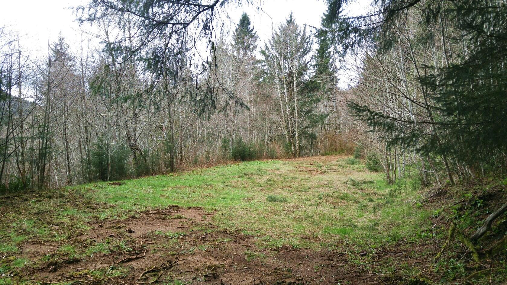 Tl202 Little Nestucca River Road Hebo, OR 97122 - Photo 5 of 10 4