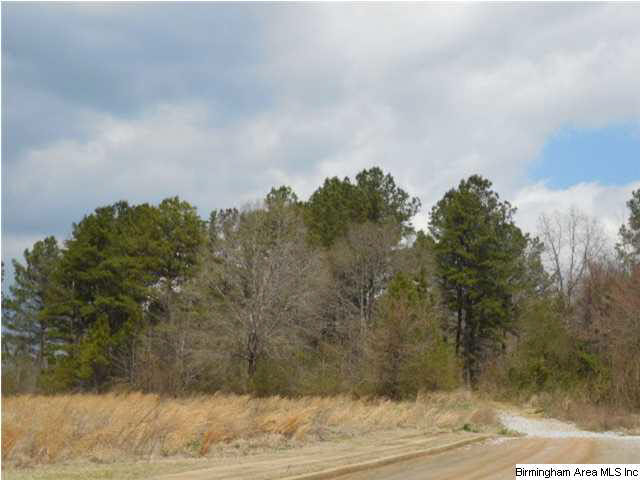 0 Rainbow Ridge Road, Unit 30 ACRES Anniston, AL 36207 - Photo 3 of 12