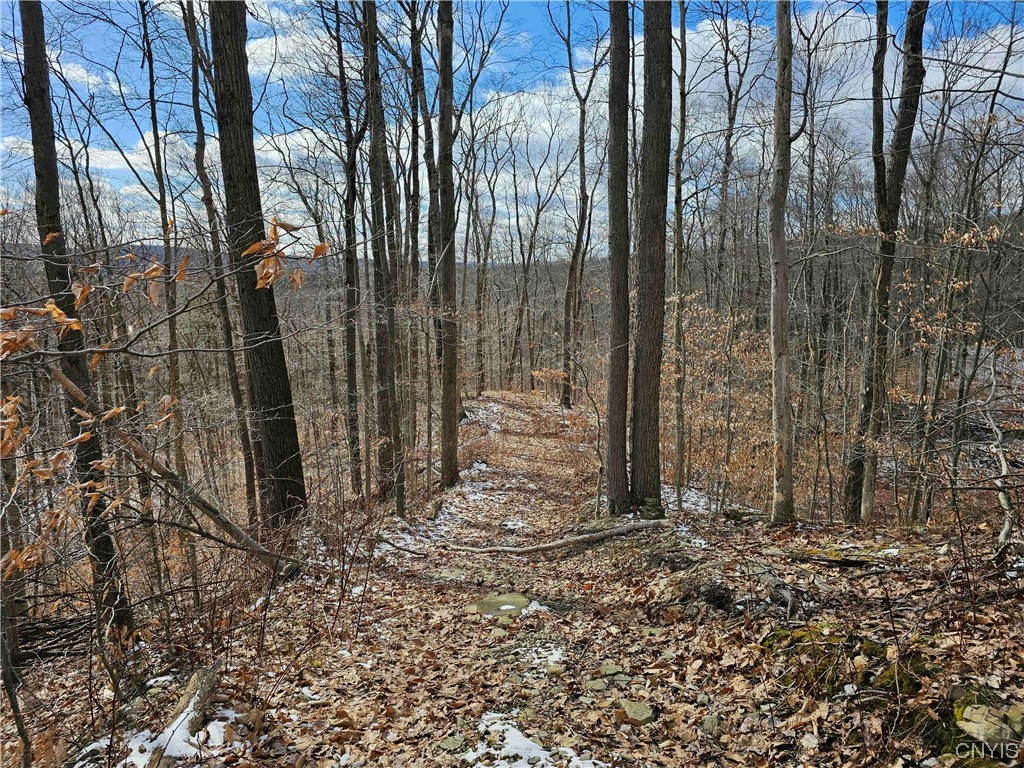 634 Ringwood Road Ithaca, NY 14850 - Photo 41 of 50