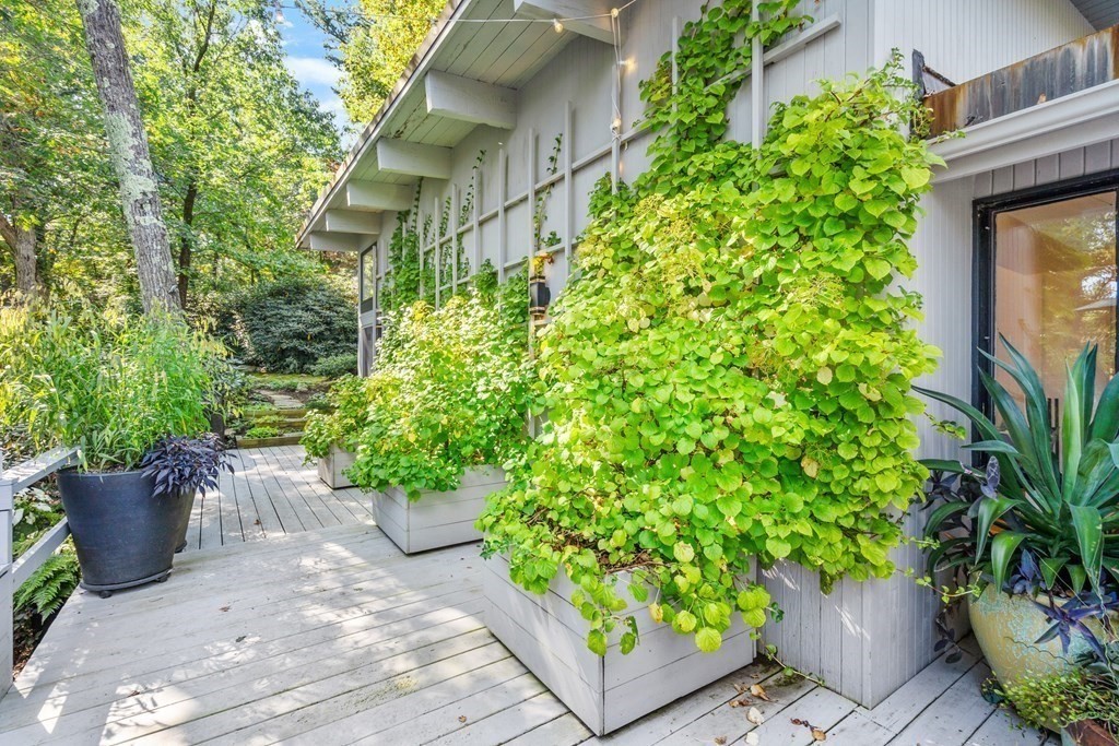 83 Ridgeway Road Weston, MA 02493 - Photo 10 of 32 a view of a garden with potted plants