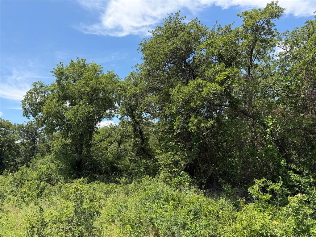 0 Rux Road Olney, TX 76374 - Photo 8 of 12 a view of a garden