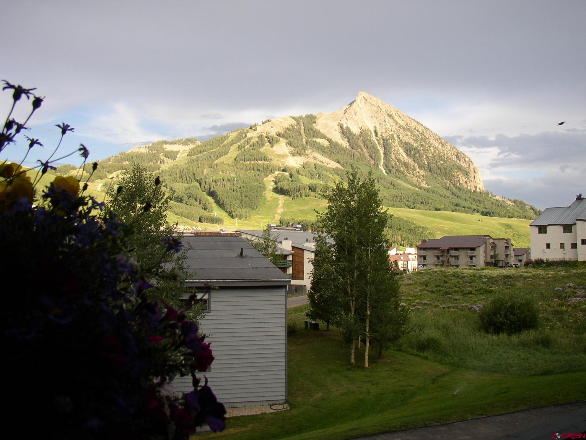 721 Gothic Road, Unit M1 Crested Butte, CO 81225 - Photo 44 of 44 Gallery Image 44