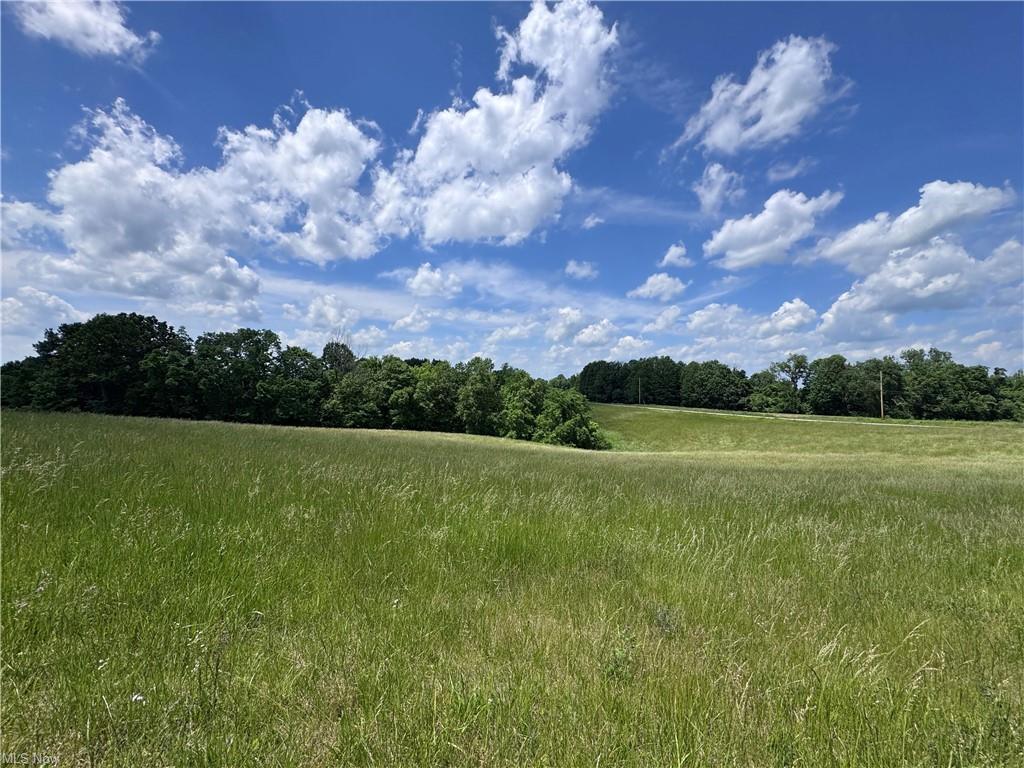 0 Johnson Ridge Road Stockport, OH 43787 - Photo 14 of 16 14