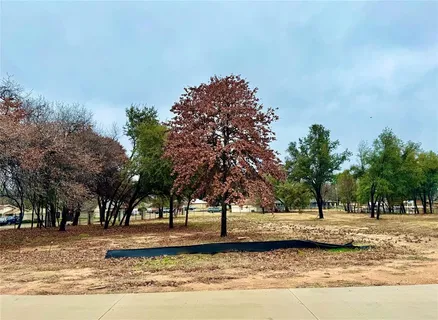 a view of a yard with a tree