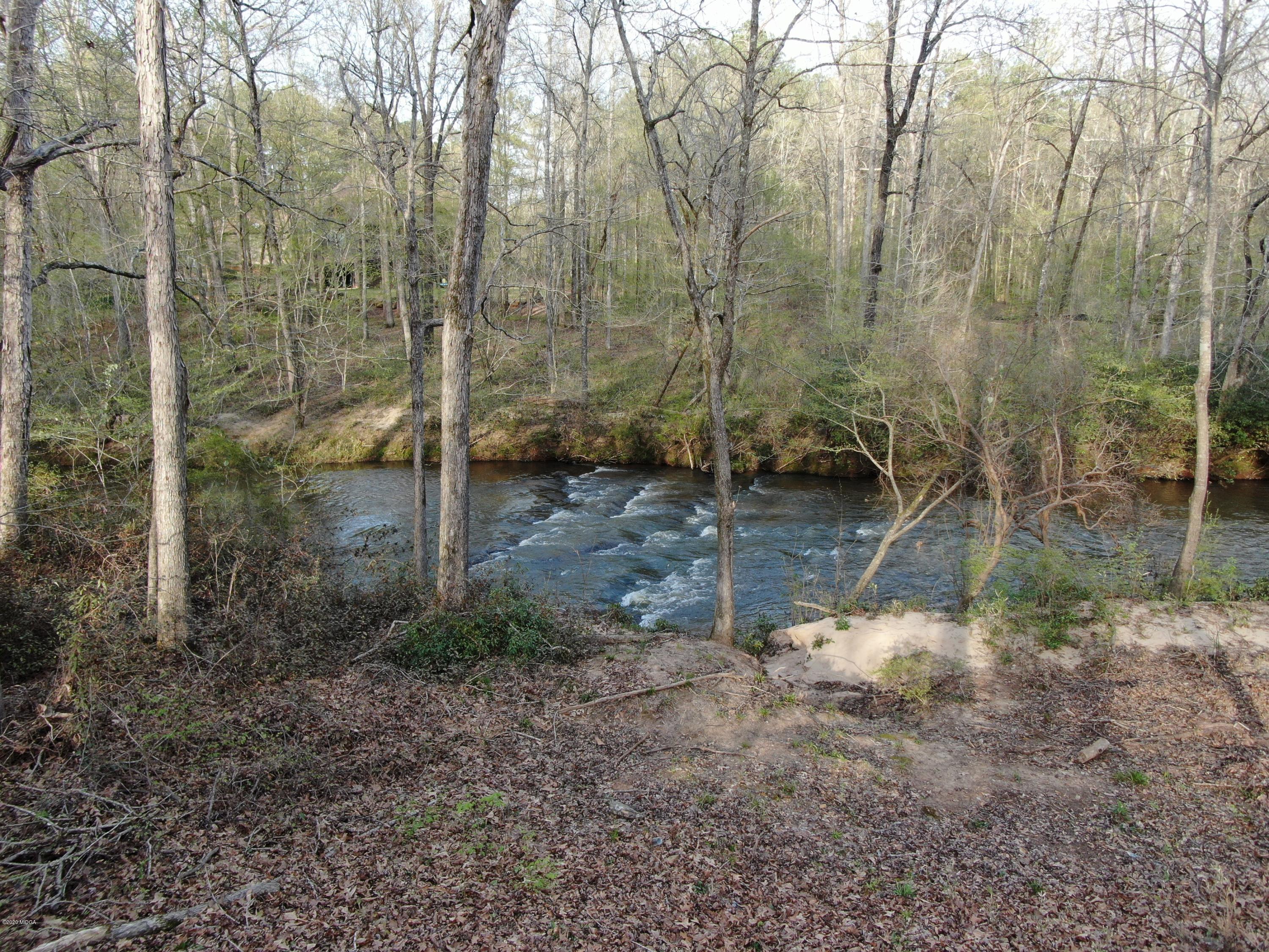 116 River Overlook Forsyth, GA 31029 - Photo 55 of 77 DJI_0728