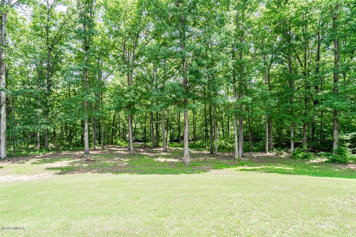 116 River Overlook Forsyth, GA 31029 - Photo 65 of 77 61-DSC05810
