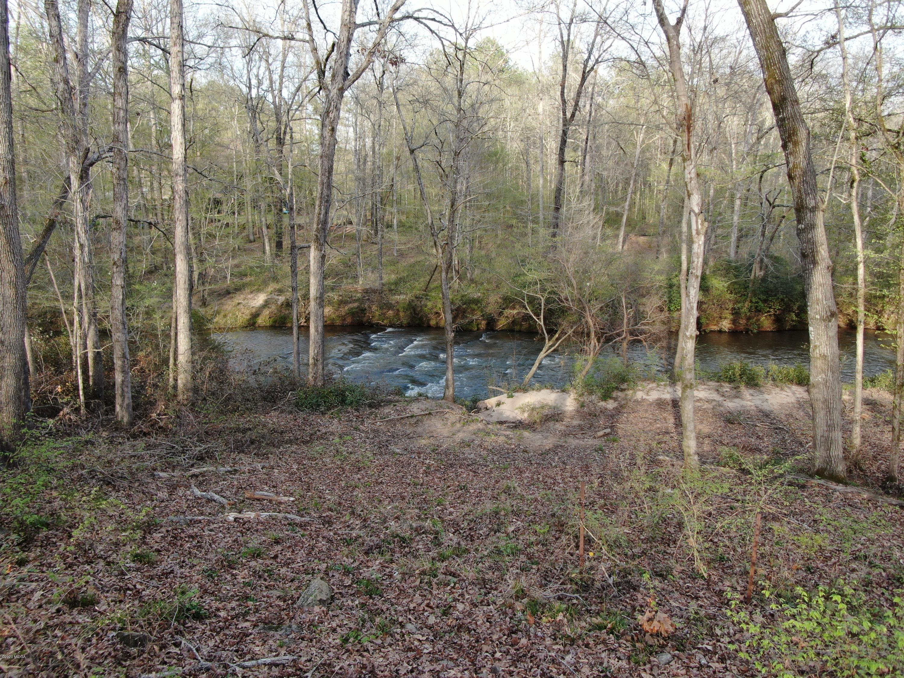 116 River Overlook Forsyth, GA 31029 - Photo 66 of 77 DJI_0727