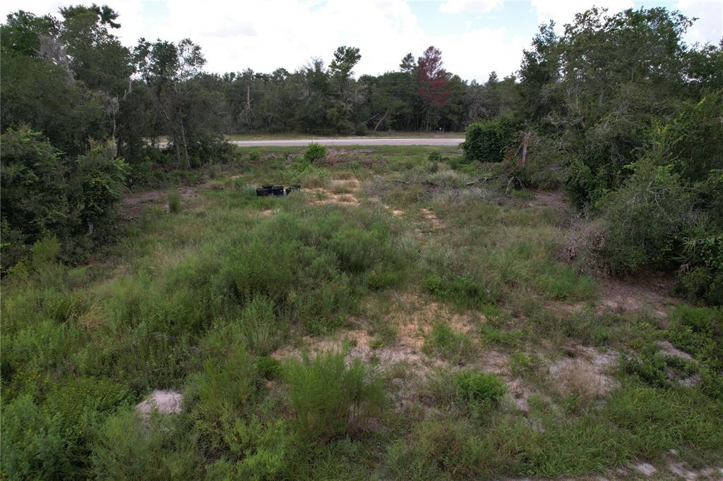 1416 Stuart Lane Kissimmee, FL 34759 - Photo 2 of 9 a view of a lush green forest with lots of trees