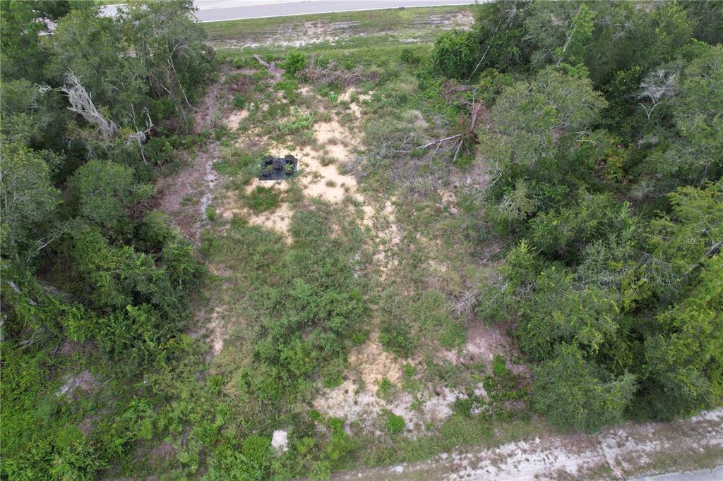 1416 Stuart Lane Kissimmee, FL 34759 - Photo 3 of 9 a view of a forest with a tree
