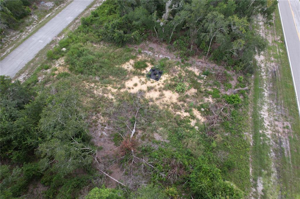 1416 Stuart Lane Kissimmee, FL 34759 - Photo 5 of 9 a view of a forest with a tree