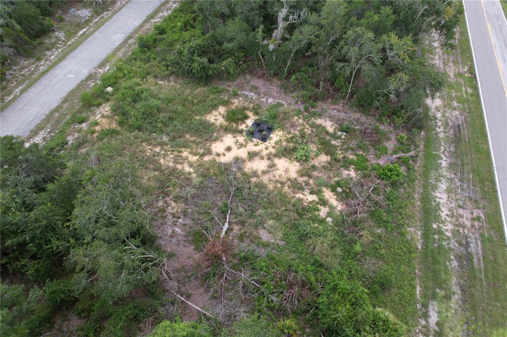 1416 Stuart Lane Kissimmee, FL 34759 - Photo 6 of 9 a view of a forest with a tree