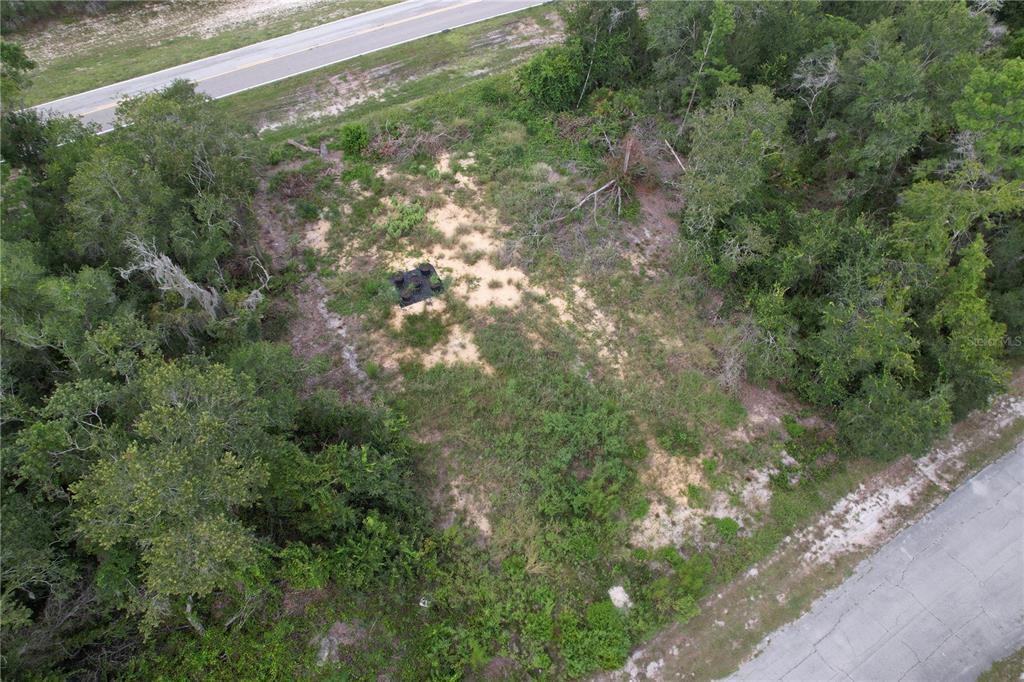 1416 Stuart Lane Kissimmee, FL 34759 - Photo 8 of 9 a view of a forest with a street
