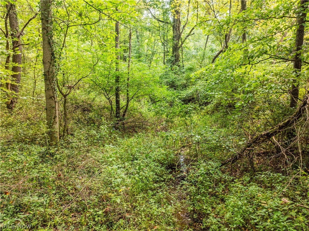 Luneman Road Scio, OH 43988 - Photo 26 of 48 Gallery Image 26