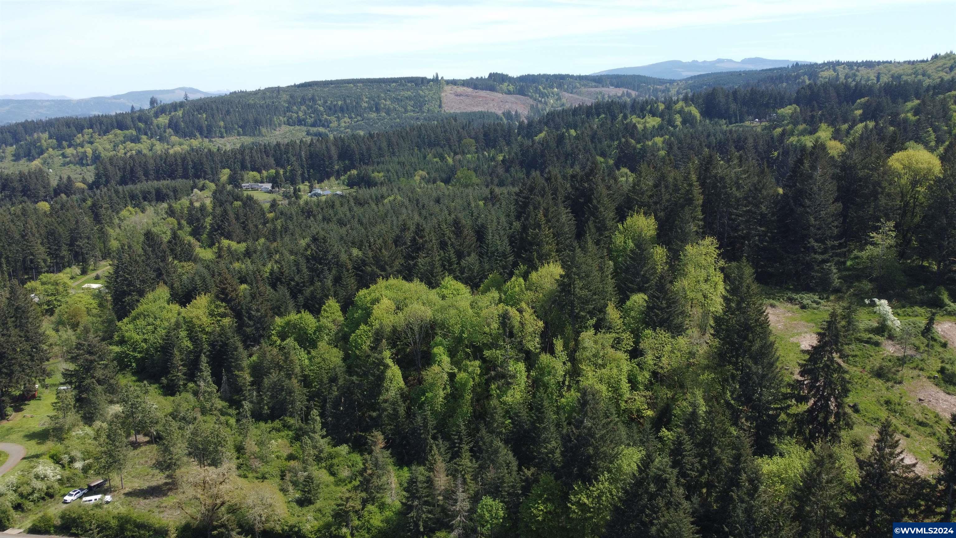 43458 Rogers Mountain Road Scio, OR 97374 - Photo 7 of 19