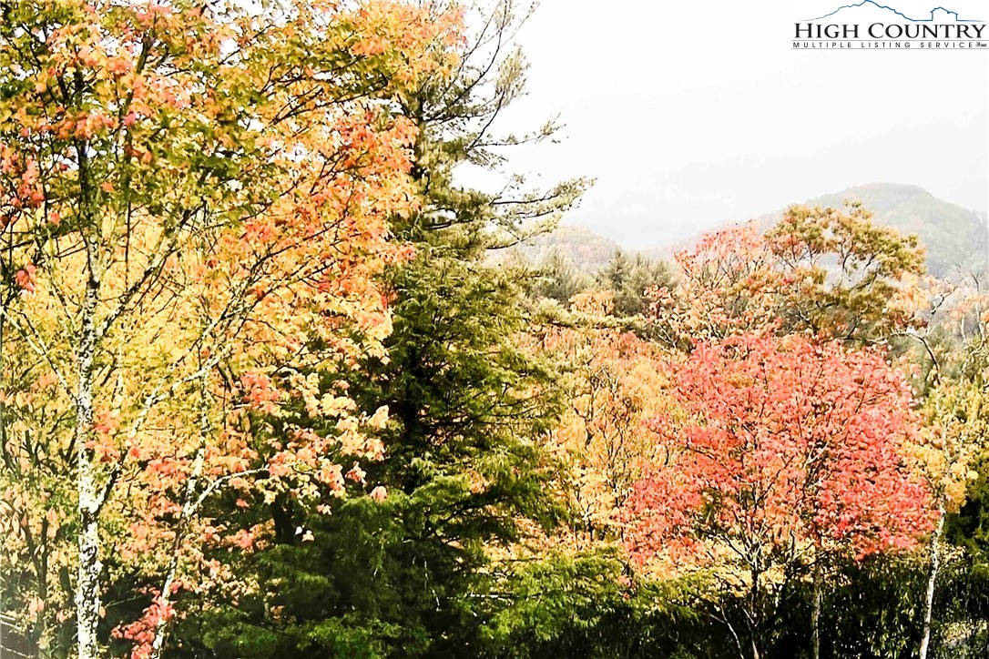 492 Russelton Road Boone, NC 28607 - Photo 40 of 41 Gallery Image 40