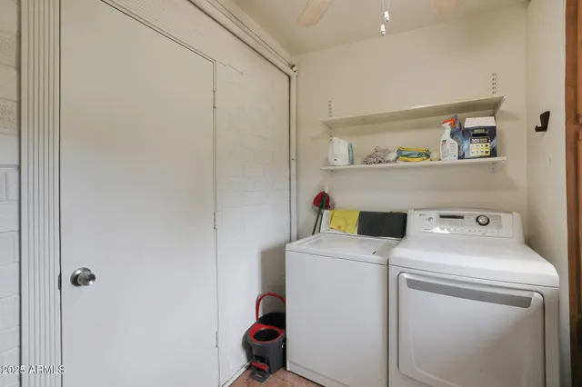 a view of a garden with a tree