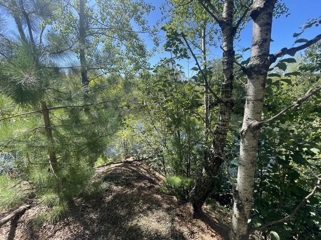 Lot 4 Skyview Road Mosinee, WI 54455 - Photo 9 of 17