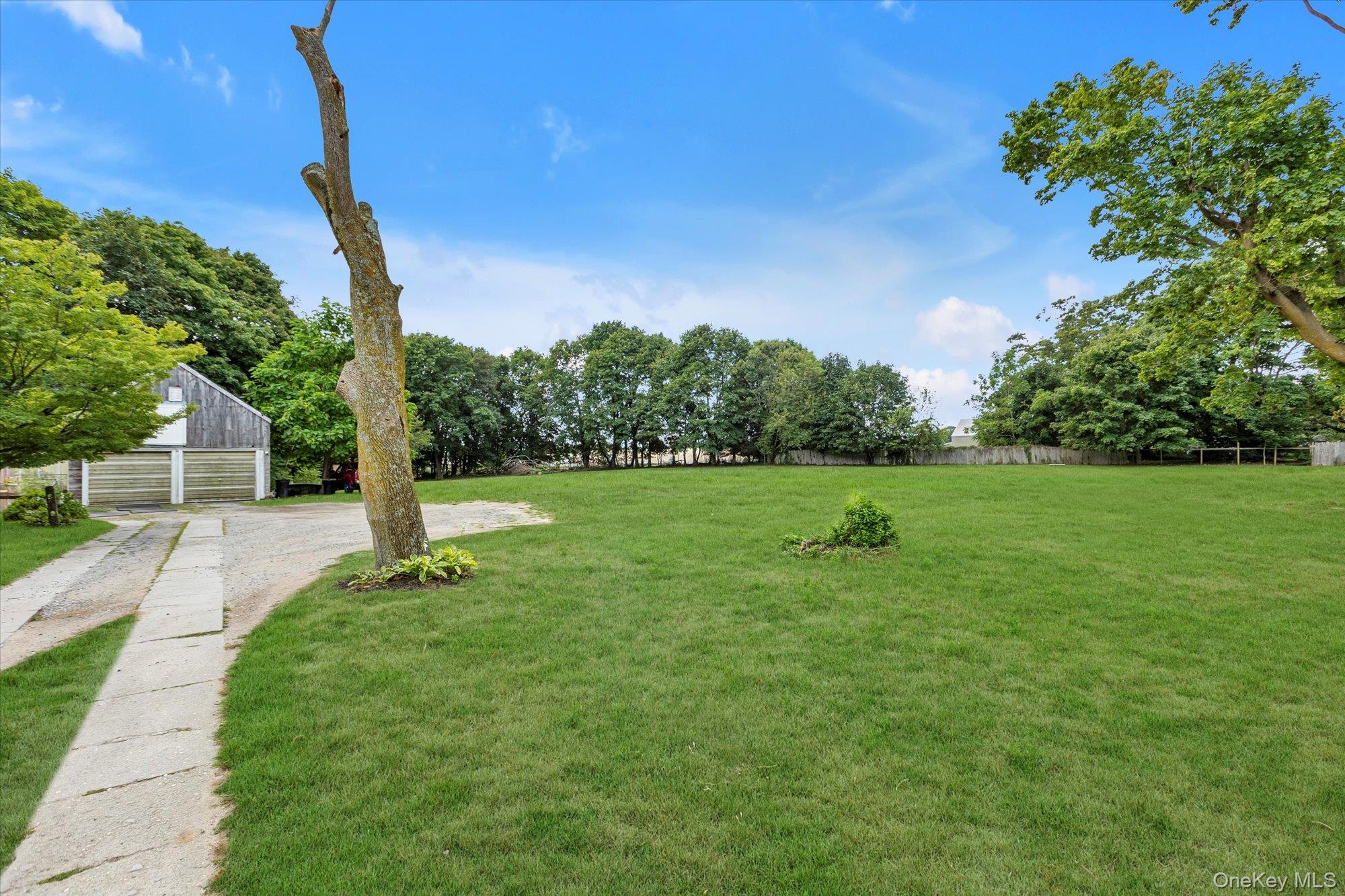 653 Main Road Aquebogue, NY 11901 - Photo 11 of 19 a view of a garden with a tree