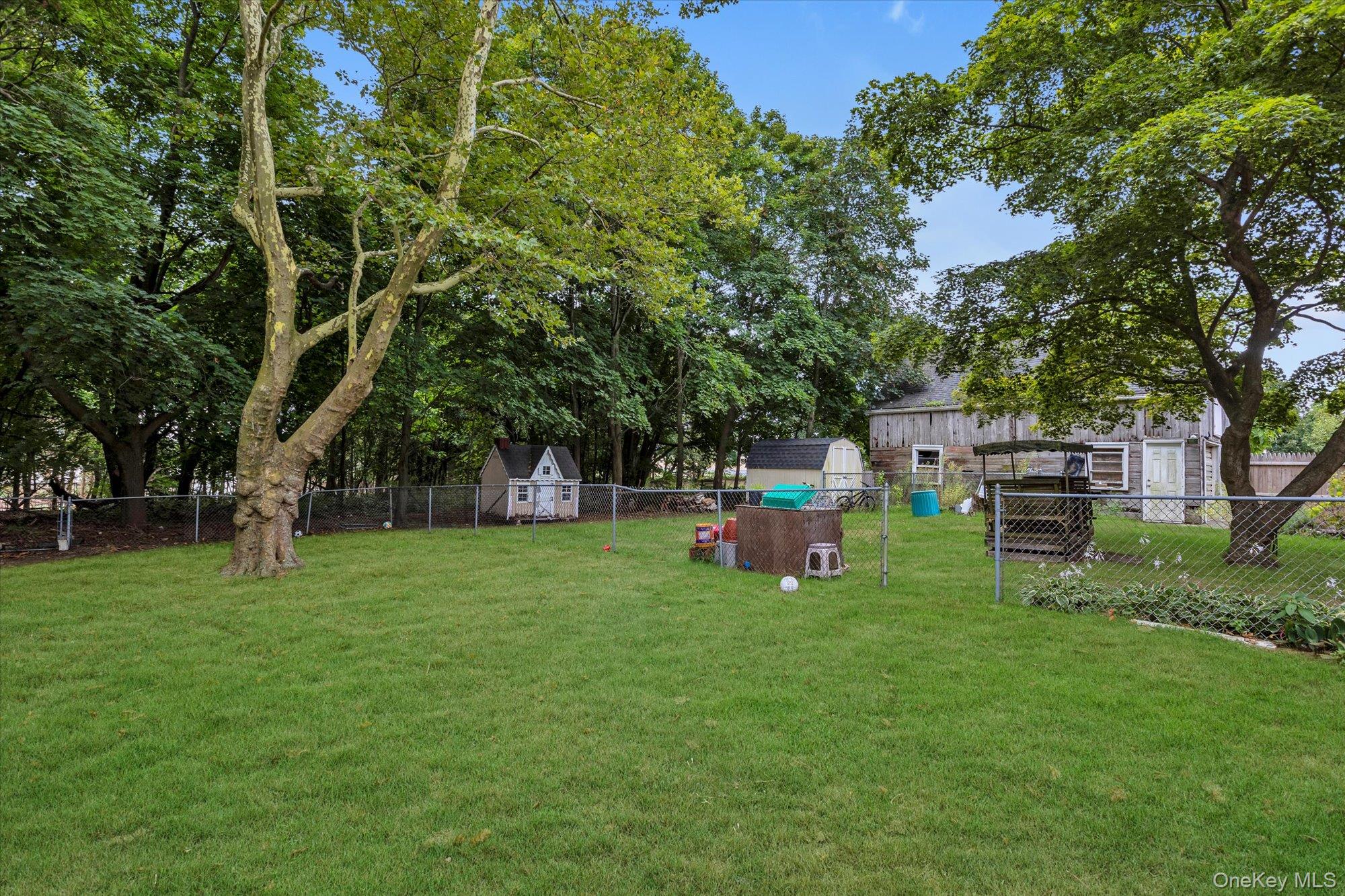 653 Main Road Aquebogue, NY 11901 - Photo 12 of 19 a view of backyard with a garden and trees