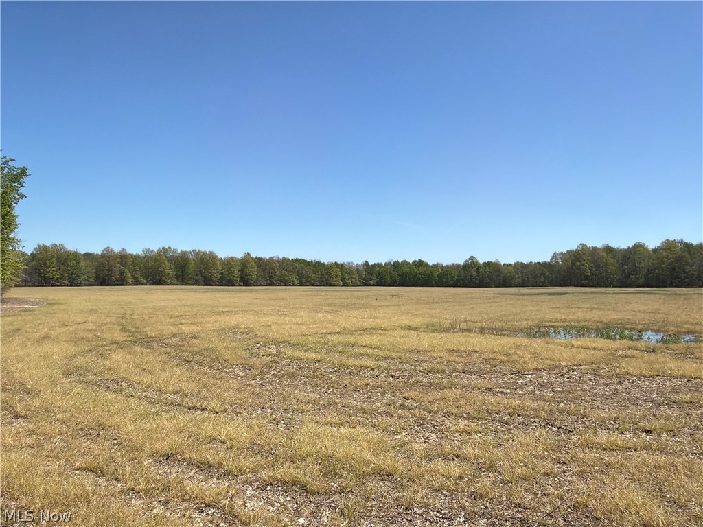 Station Road Columbia Station, OH 44028 - Photo 2 of 22 Expansive open field with a clear horizon, featuring distant tree lines and patches of standing water