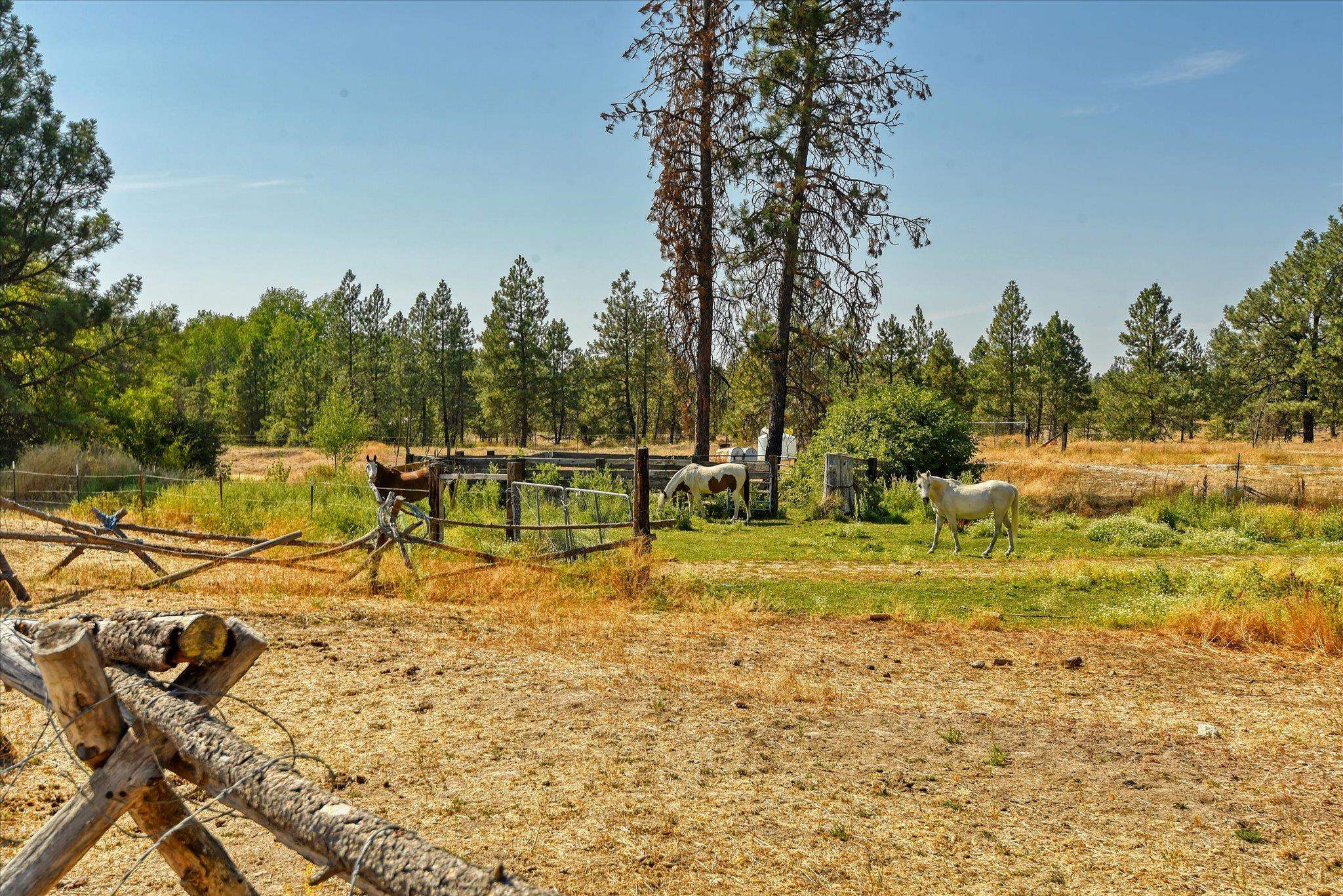 26911 South Phillips Road Cheney, WA 99004 - Photo 47 of 49