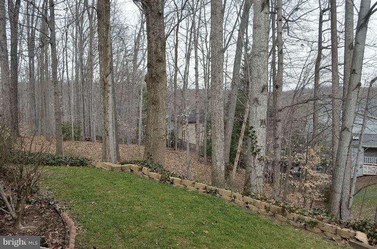 6825 Bluecurl Circle Springfield, VA 22152 - Photo 14 of 22 Landscaped Rear Yard