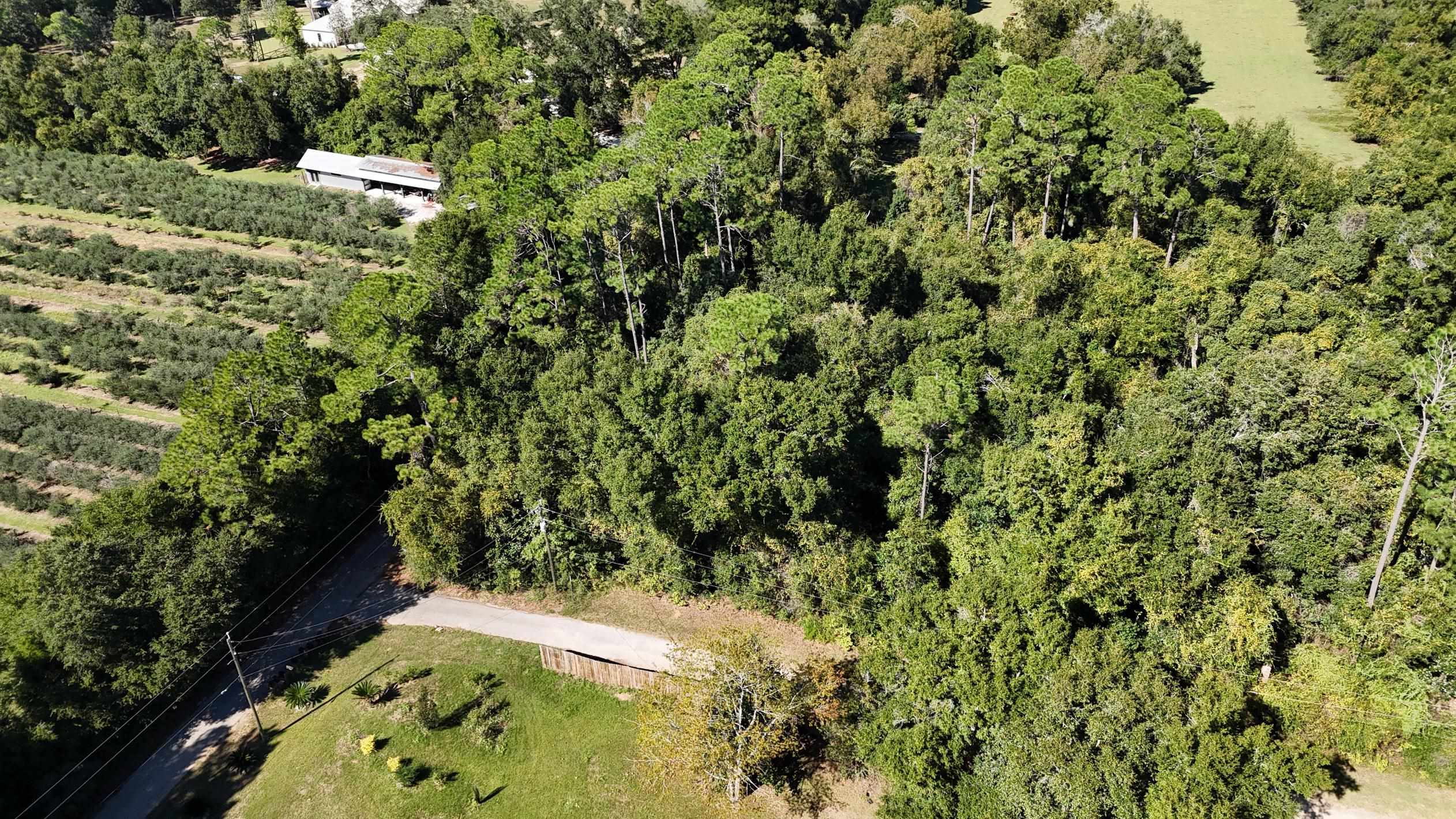 0 Perdido Street Lillian, AL 36549 - Photo 15 of 18 Aerial View