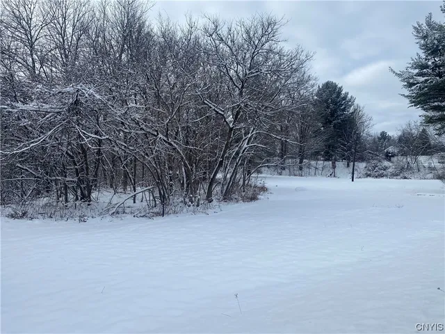 $149,000 | 10 South Broad Street, Champion, NY 13619