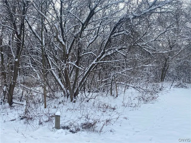 $149,000 | 10 South Broad Street, Champion, NY 13619