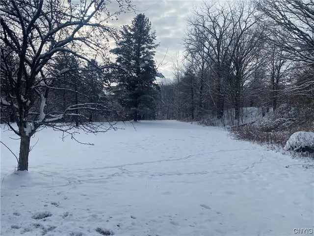 $149,000 | 10 South Broad Street, Champion, NY 13619