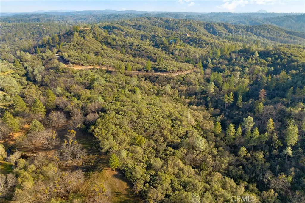 1 Ridge View Drive Sutter Creek, CA 95685 - Photo 14 of 25 an aerial view of forest